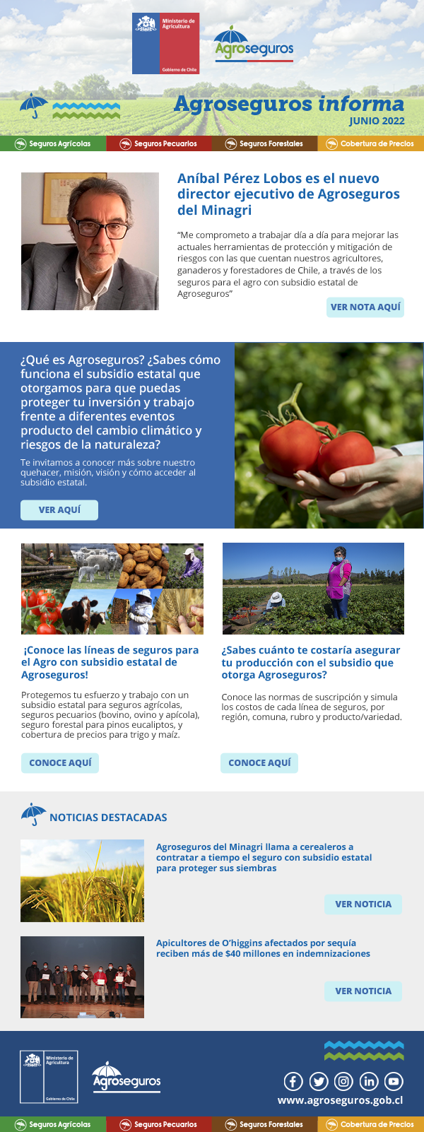 Boletín Junio 2022
