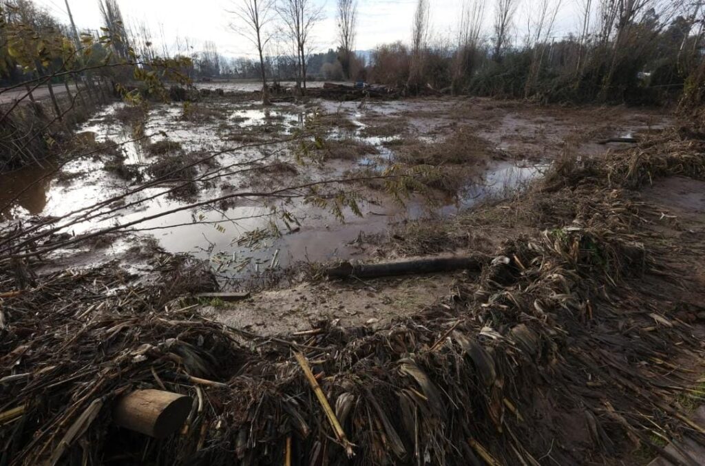 MINISTERIO DE AGRICULTURA Y AGROSEGUROS LLAMAN A AGRICULTORES AFECTADOS POR LLUVIAS E INUNDACIONES A DENUNCIAR SUS SINIESTROS