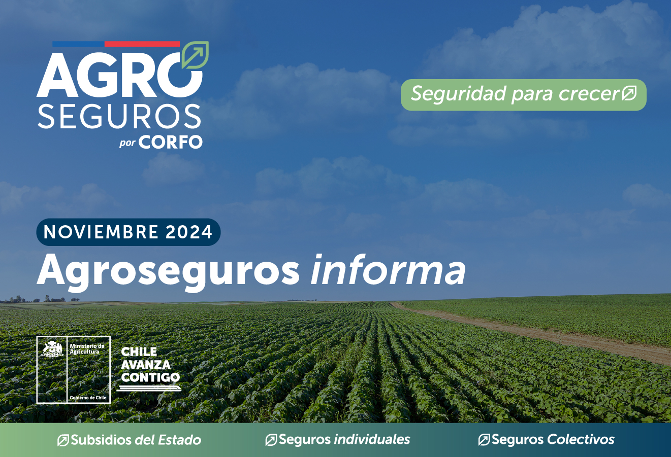 ¡LEA NUESTRO BOLETÍN INFORMATIVO NOVIEMBRE 2024! Infórmate sobre las últimas novedades de los seguros silvoagropecuarios con subsidio estatal.