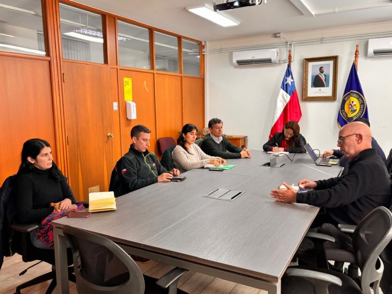 SEREMI DE AGRICULTURA DE LOS LAGOS DESTACA ROL SUBSIDIARIO DE AGROSEGUROS EN LA REGIÓN