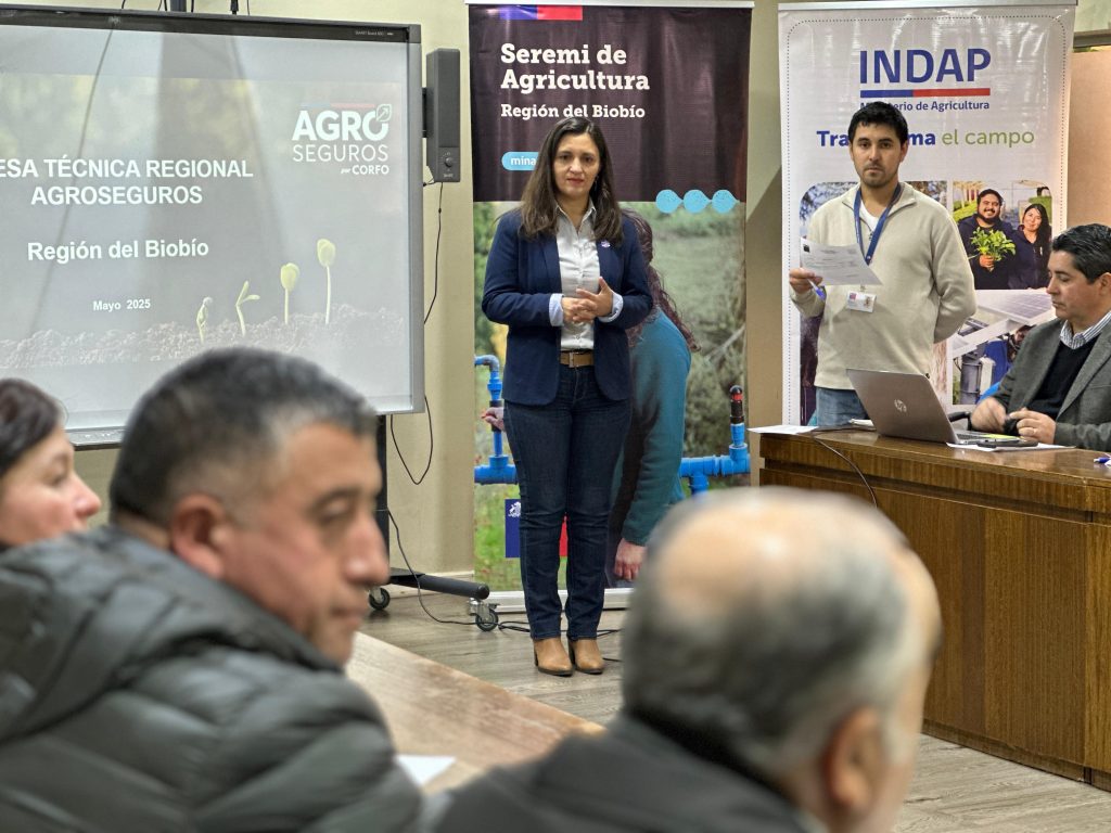 MESA ABORDÓ ALTERNATIVAS PARA MEJORAR COBERTURA SOBRE SEGUROS PARA EL AGRO CON SUBSIDIO ESTATAL EN BIOBÍO