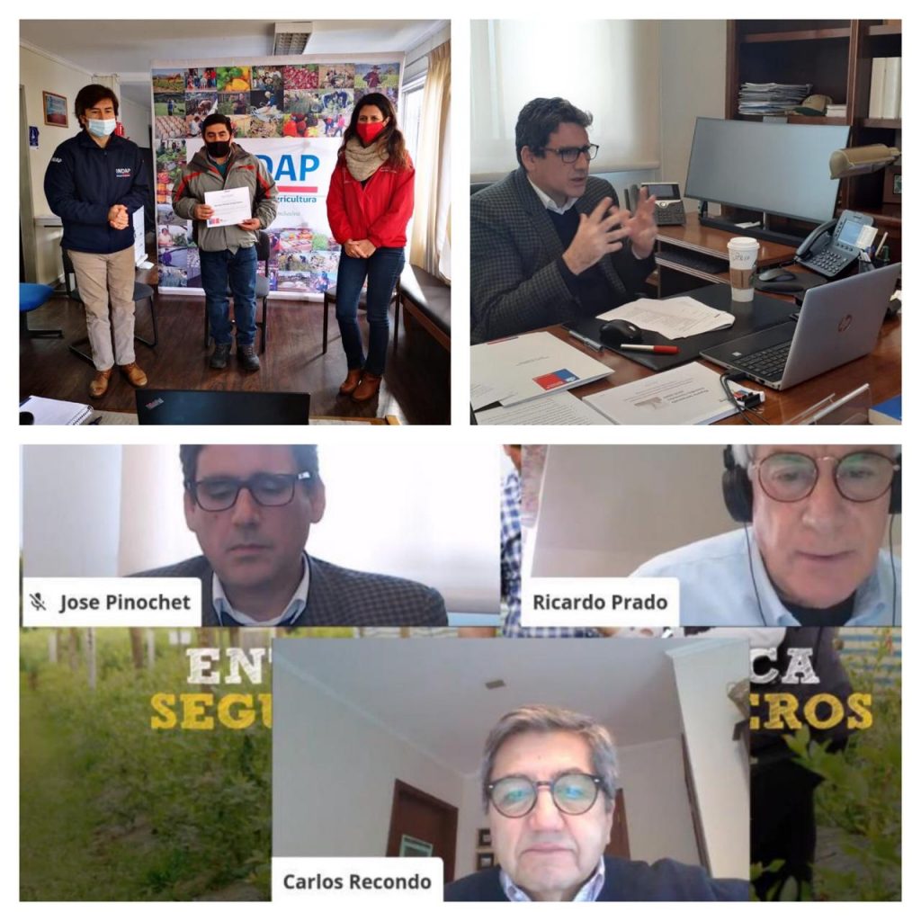 MINISTERIO DE AGRICULTURA ENTREGA INDEMNIZACIONES POR MÁS DE MIL MILLONES DE PESOS A ARANDANEROS DEL MAULE AFECTADOS POR HELADAS
