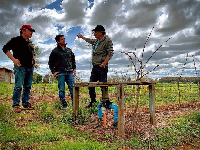 Agricultores del Biobío reciben jornada de capacitación sobre seguro agrícola y apícola con subsidio estatal