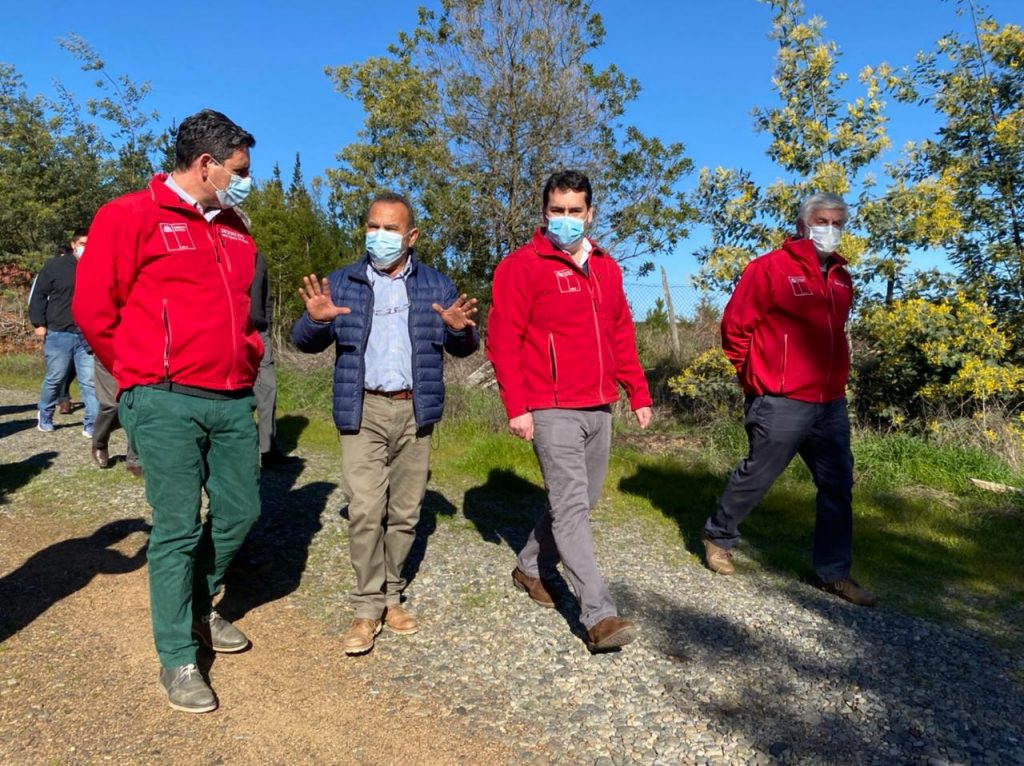 Por primera vez viñateros de la región del Biobío contarán con seguro agrícola con subsidio estatal.