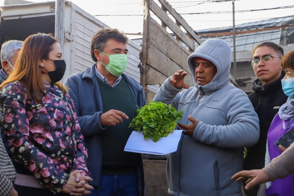 Minagri entrega nuevo de informe de Mejores Alimentos de Temporada y destaca la disminución de las papas y el limón