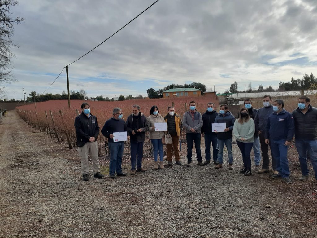 AGROSEGUROS DEL MINAGRI VISITA A AGRICULTORES MAULINOS INDEMNIZADOS POR DAÑOS CLIMÁTICOS