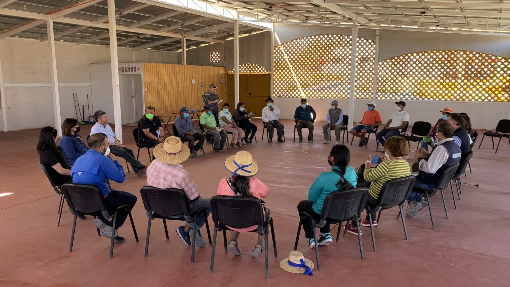 REACTIVAN CONTRATACIÓN DE SEGURO AGRÍCOLA CON SUBSIDIO ESTATAL PARA PROTEGER A PEQUEÑOS PRODUCTORES DE QUÍNUA DE PICA Y COLCHANE