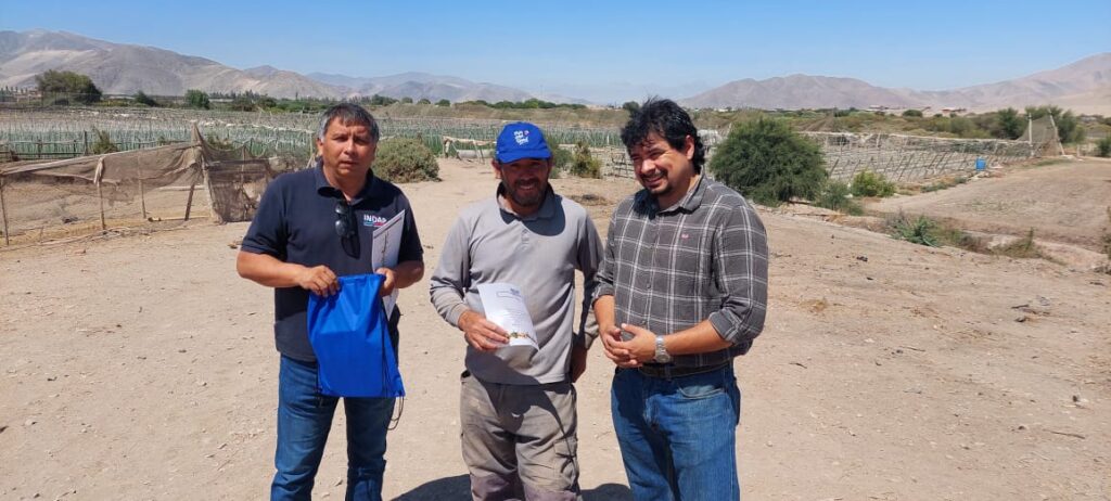 Hortalicero en Copiapó vuelve a sembrar gracias a que contrató a tiempo su seguro agrícola con subsidio estatal de INDAP y Agroseguros