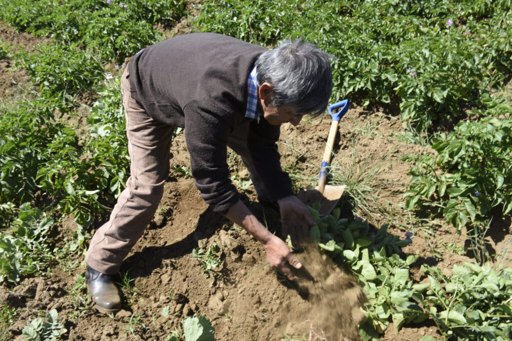 AGROSEGUROS DEL MINISTERIO DE AGRICULTURA CUENTA CON SEGURO AGRÍCOLA PARA PROTEGER A LAS Y LOS PEQUEÑOS Y MEDIANOS AGRICULTORES