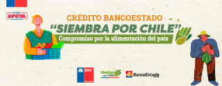 Crédito BancoEstado